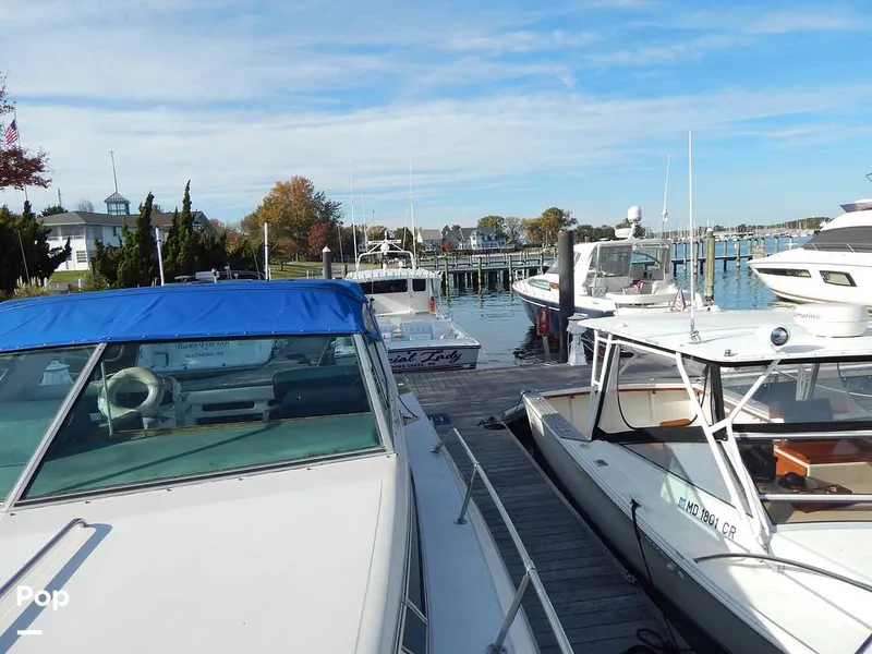 Slide: The Image of Sea Ray 390 Express Cruiser 1986 - 16017347