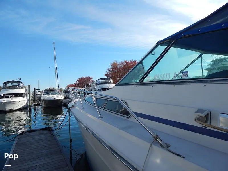 Slide: The Image of Sea Ray 390 Express Cruiser 1986 - 16017258