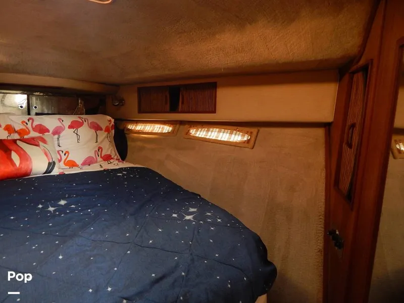 Slide: The Image of Sea Ray 390 Express Cruiser 1986 - 16017501