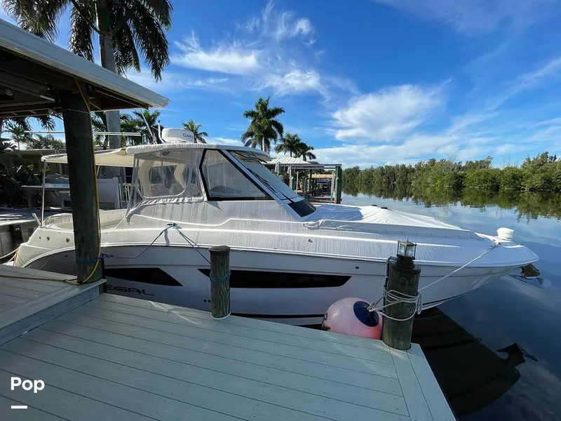 Slide: The Image of Regal 33 SAV 2019 - 16119027