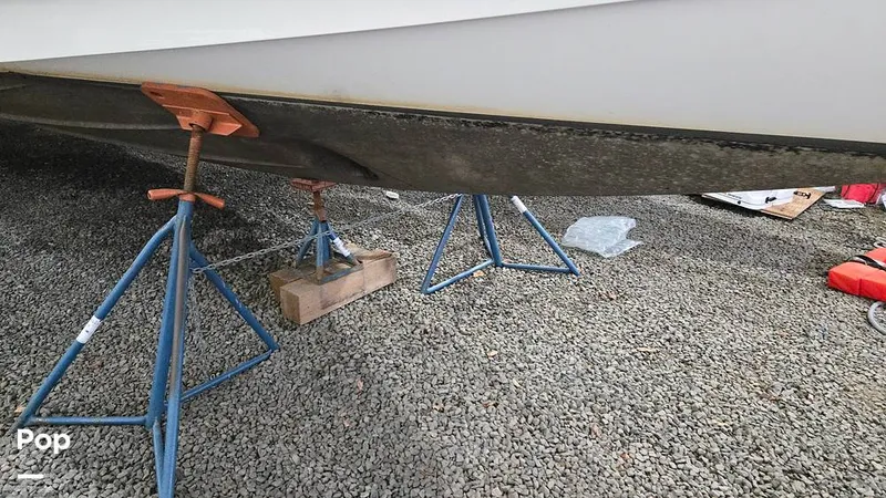 Slide: The Image of Nimbus W11 2025 - 16029437