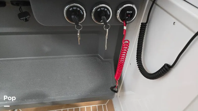 Slide: The Image of Nimbus W11 2025 - 16029524