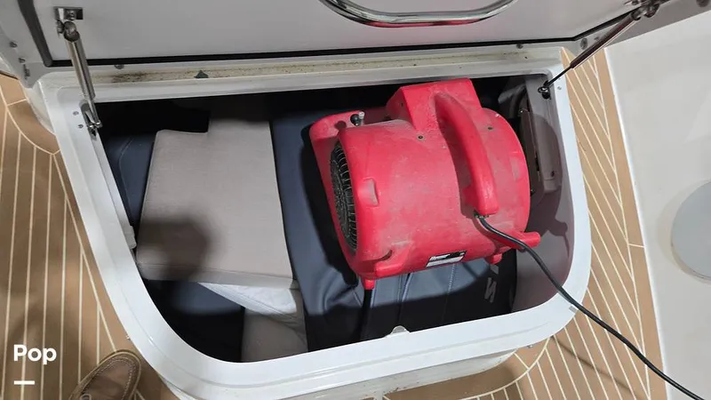 Slide: The Image of Nimbus C11 2024 - 16029316