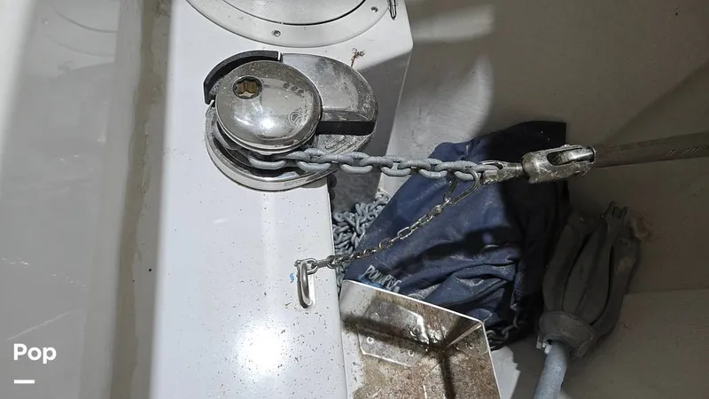 Slide: The Image of Nimbus C11 2024 - 16029319