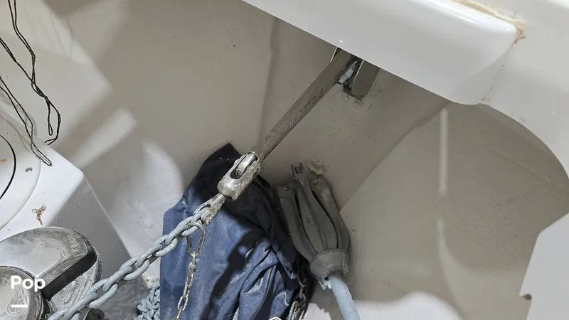 Slide: The Image of Nimbus C11 2024 - 16029320