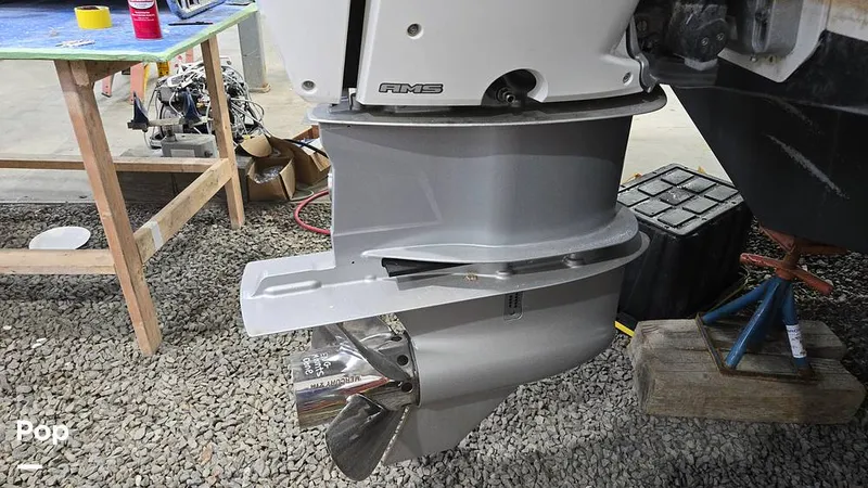 Slide: The Image of Nimbus C11 2024 - 16029372