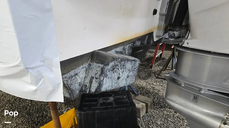 Slide: The Image of Nimbus C11 2024 - 16029378