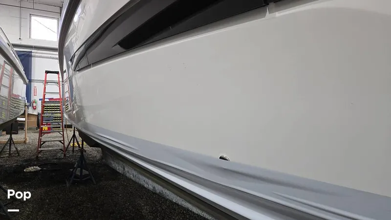 Slide: The Image of Nimbus C11 2024 - 16029385