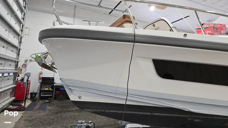 Slide: The Image of Nimbus C11 2024 - 16029390