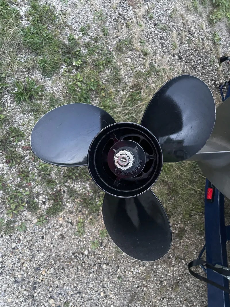 Slide: The Image of Regal 1900 2011 - 36