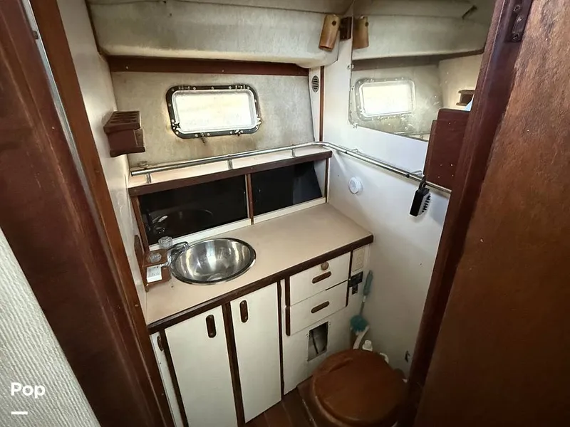 Slide: The Image of Head - 16001521