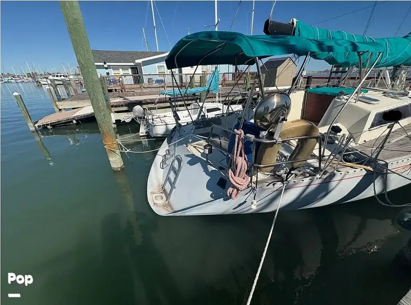 Slide: The Image of Stern - 16059263