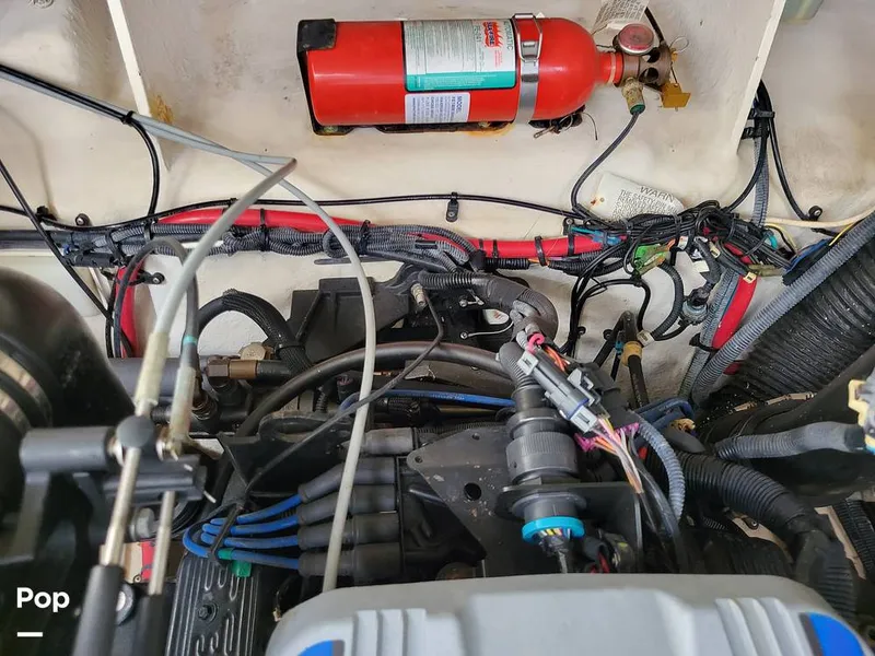 Slide: The Image of Sea Ray 250 Sundancer 2009 - 16061654