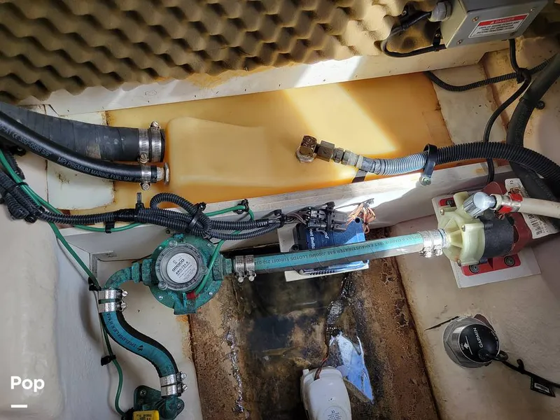 Slide: The Image of Sea Ray 250 Sundancer 2009 - 16061656