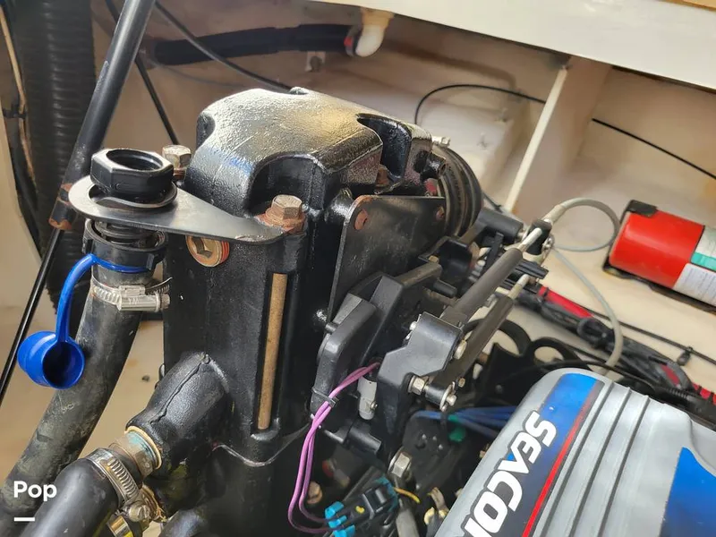 Slide: The Image of Sea Ray 250 Sundancer 2009 - 16061767