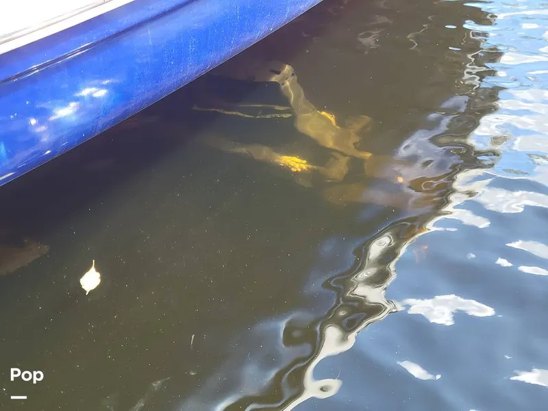 Slide: The Image of Sea Ray 250 Sundancer 2009 - 16061769