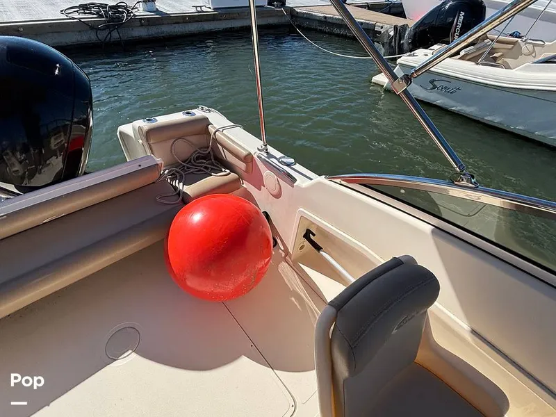 Slide: The Image of Scout 210 Dorado 2023 - 16062808