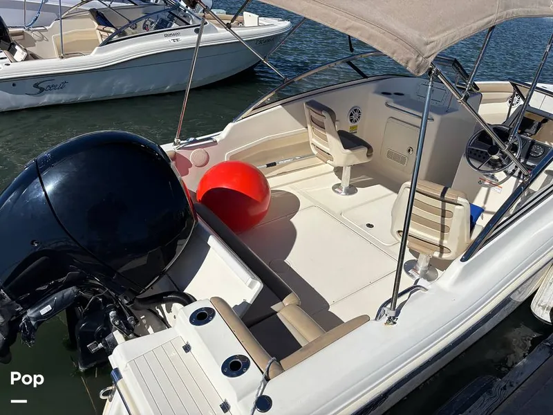 Slide: The Image of Scout 210 Dorado 2023 - 16062799