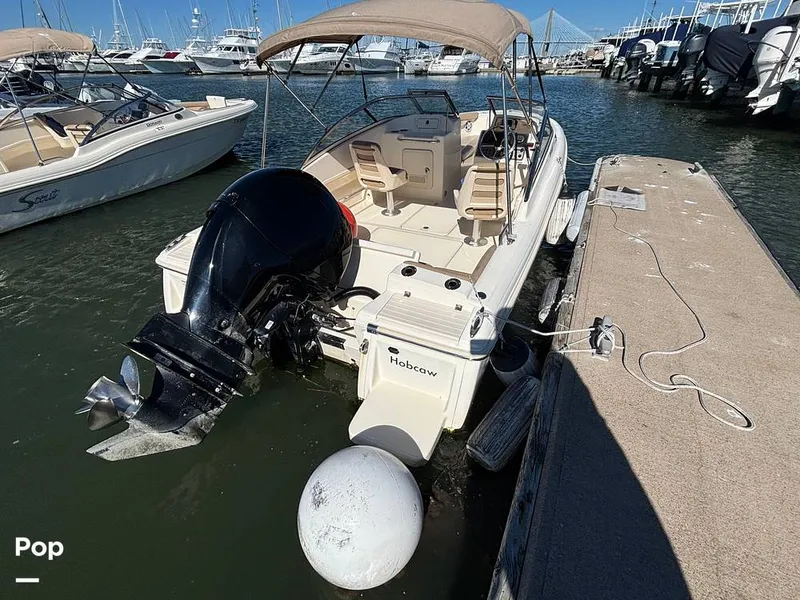 Slide: The Image of Scout 210 Dorado 2023 - 16062813