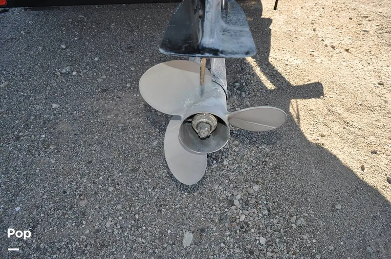 Slide: The Image of Avalon Catalina QL 2585 2019 - 16051731