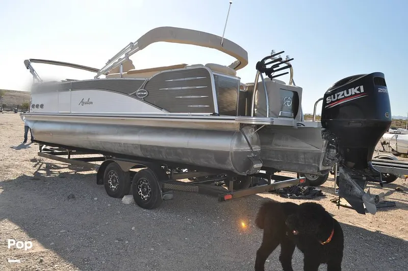 Slide: The Image of Avalon Catalina QL 2585 2019 - 16051743