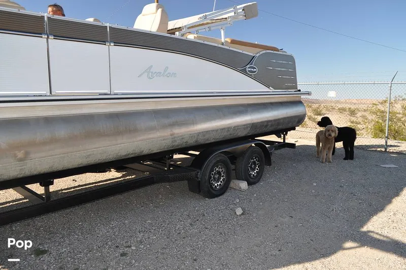 Slide: The Image of Avalon Catalina QL 2585 2019 - 16051746