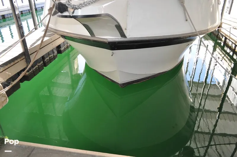 Slide: The Image of Blue Water 45 Sport Sedan 1978 - 16051833