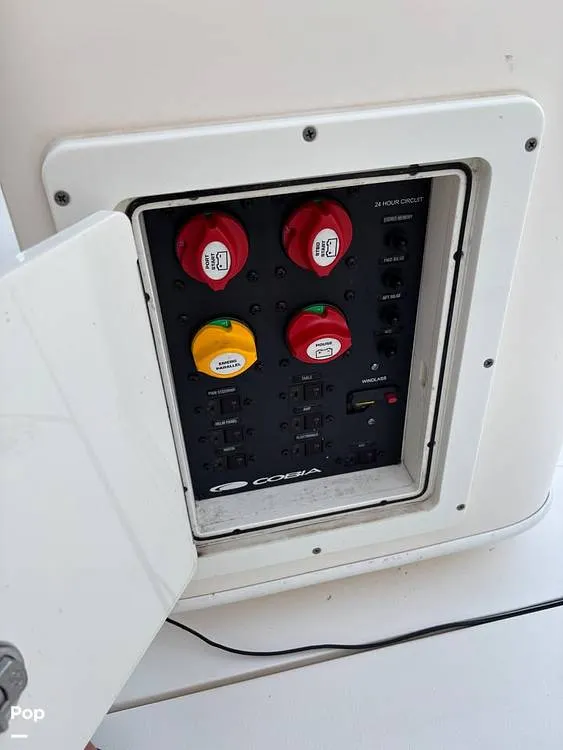 Slide: The Image of Cobia 262 CC 2019 - 16012273