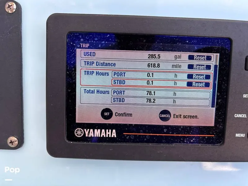 Slide: The Image of Cobia 262 CC 2019 - 16012276