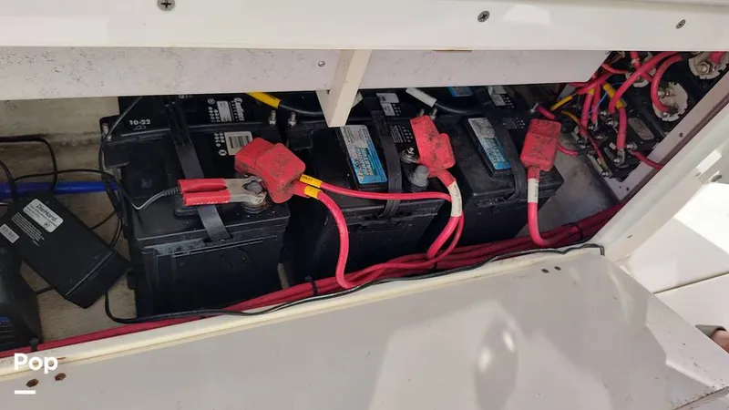 Slide: The Image of Cobia 262 CC 2019 - 16012290