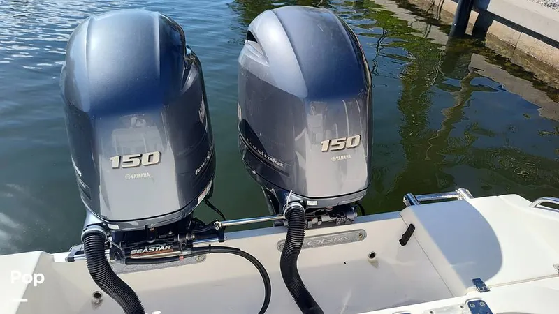 Slide: The Image of Cobia 262 CC 2019 - 16012291