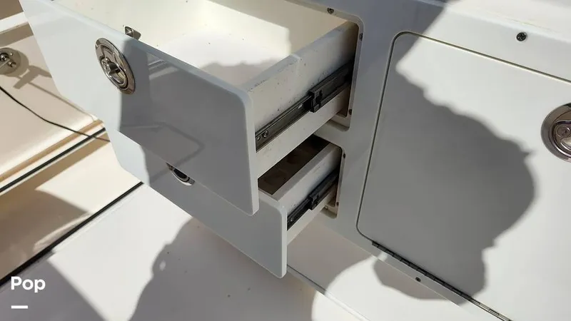 Slide: The Image of Cobia 262 CC 2019 - 16012295