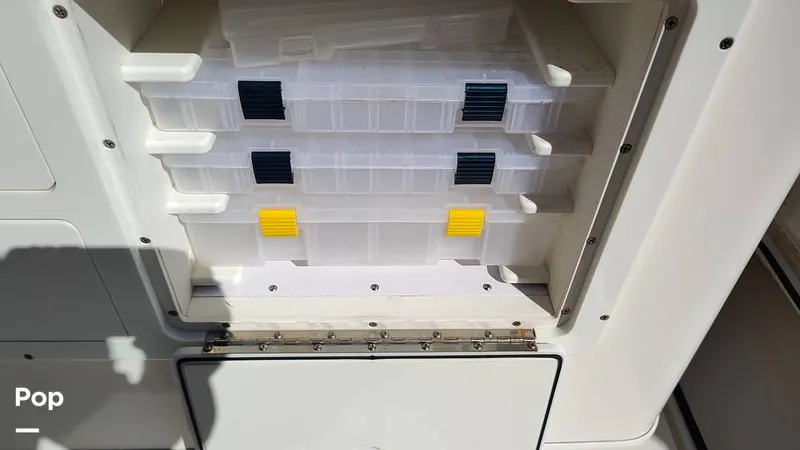 Slide: The Image of Cobia 262 CC 2019 - 16012296