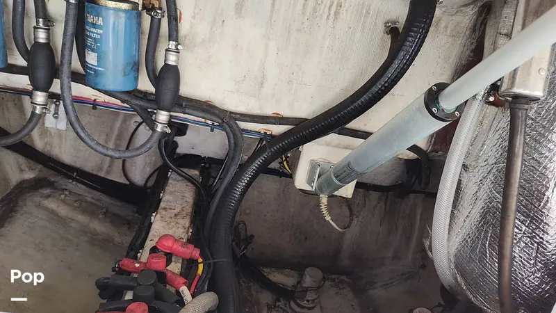 Slide: The Image of Fish boxes - 16012299