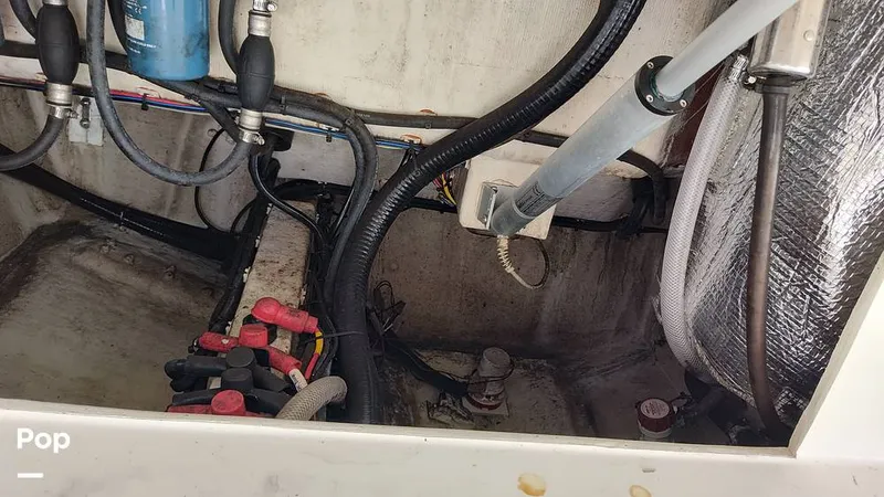 Slide: The Image of Fish boxes - 16012300