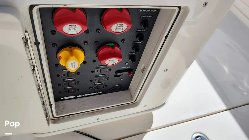 Slide: The Image of Cobia 262 CC 2019 - 16012302