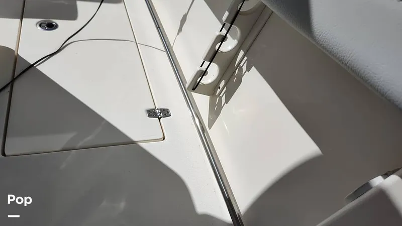 Slide: The Image of Cobia 262 CC 2019 - 16012309