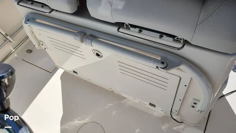 Slide: The Image of Cobia 262 CC 2019 - 16012311