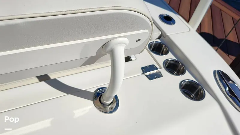 Slide: The Image of Cobia 262 CC 2019 - 16012423