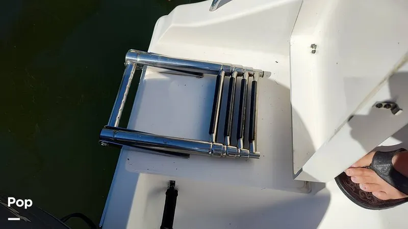 Slide: The Image of Cobia 262 CC 2019 - 16012426