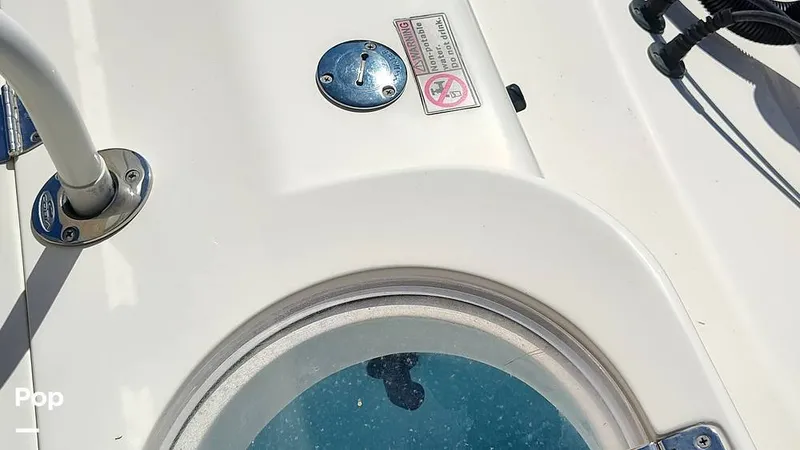 Slide: The Image of Cobia 262 CC 2019 - 16012429