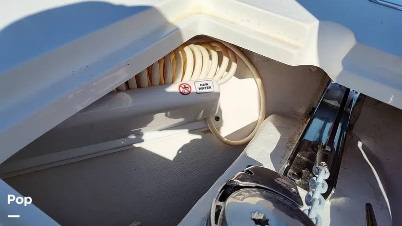 Slide: The Image of Cobia 262 CC 2019 - 16012444