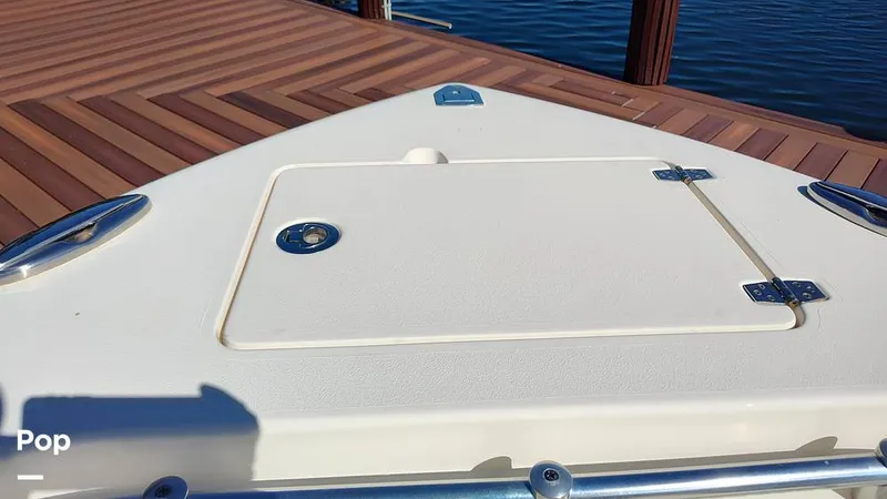 Slide: The Image of Cobia 262 CC 2019 - 16012449