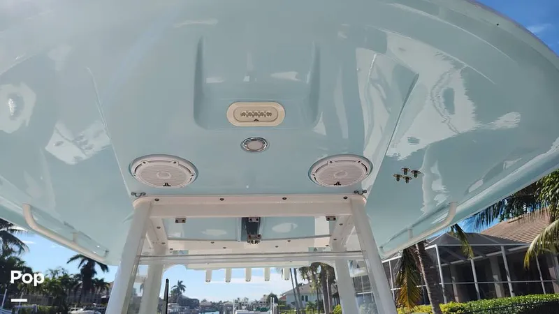 Slide: The Image of Cobia 262 CC 2019 - 16014148