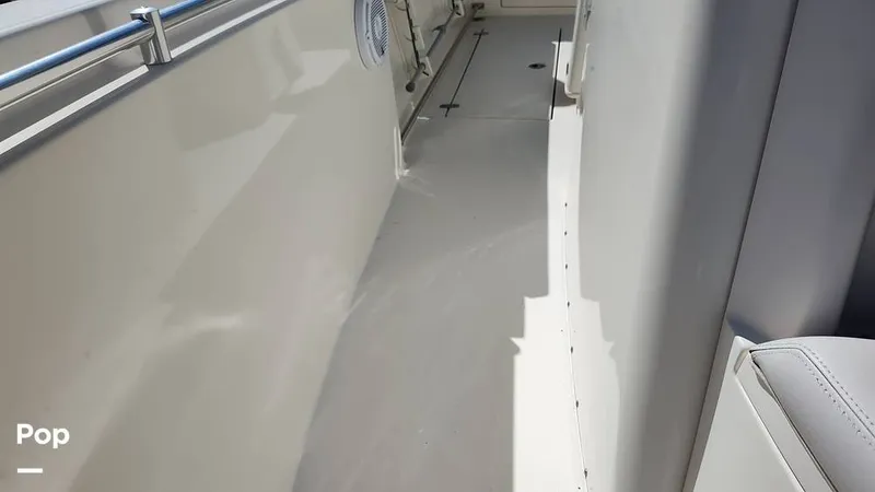 Slide: The Image of Cobia 262 CC 2019 - 16014152