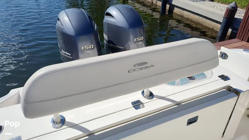 Slide: The Image of Cobia 262 CC 2019 - 16014155