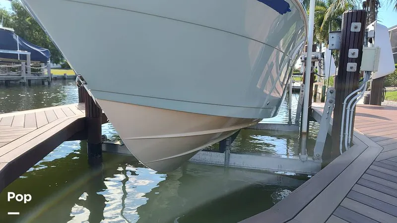 Slide: The Image of Cobia 262 CC 2019 - 16014156