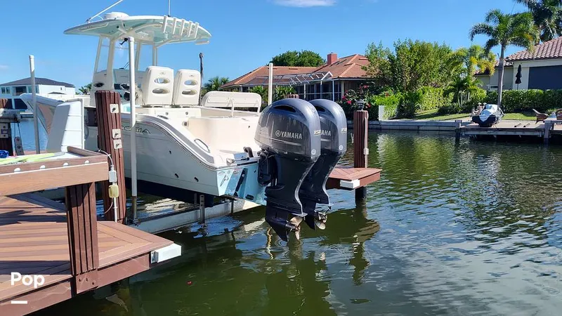 Slide: The Image of Cobia 262 CC 2019 - 16014160