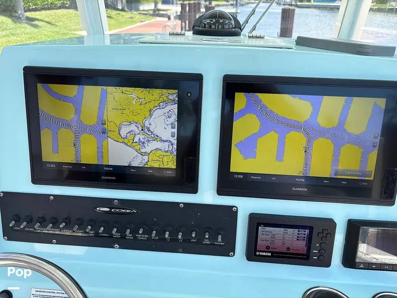 Slide: The Image of Cobia 262 CC 2019 - 16005037