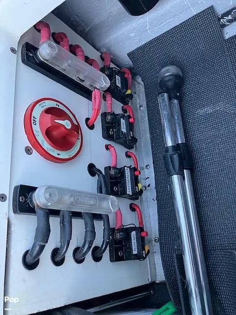 Slide: The Image of Mamba 227 2024 - 16105407